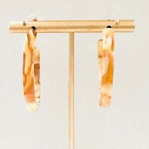 Acrylic Tans and Golds Hoop Earrings